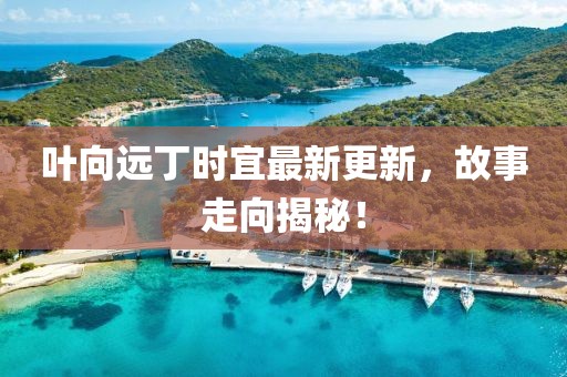 叶向远丁时宜最新更新，故事走向揭秘！