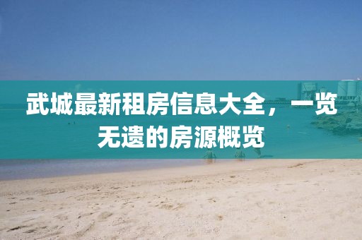 武城最新租房信息大全，一览无遗的房源概览