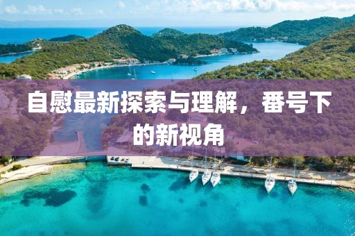 自慰最新探索与理解，番号下的新视角