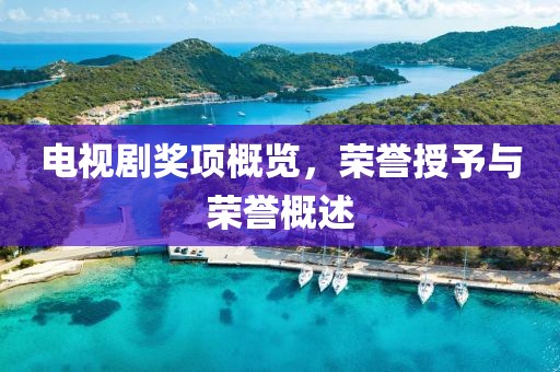 电视剧奖项概览，荣誉授予与荣誉概述