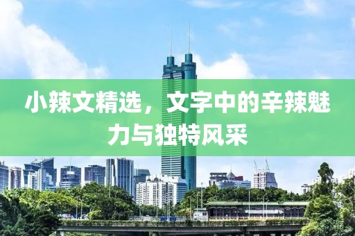 小辣文精选，文字中的辛辣魅力与独特风采