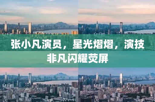 张小凡演员，星光熠熠，演技非凡闪耀荧屏