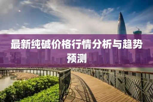 最新纯碱价格行情分析与趋势预测