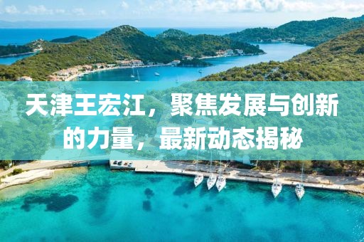天津王宏江，聚焦发展与创新的力量，最新动态揭秘