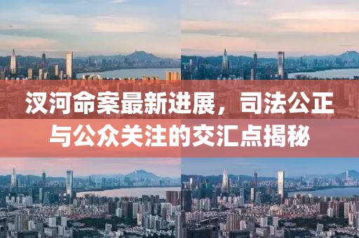 汊河命案最新进展，司法公正与公众关注的交汇点揭秘