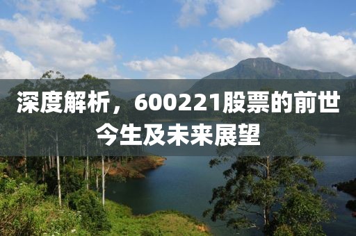 深度解析，600221股票的前世今生及未来展望