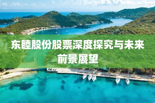 东睦股份股票深度探究与未来前景展望