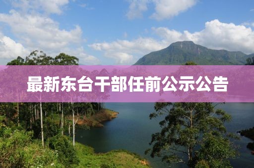 最新东台干部任前公示公告