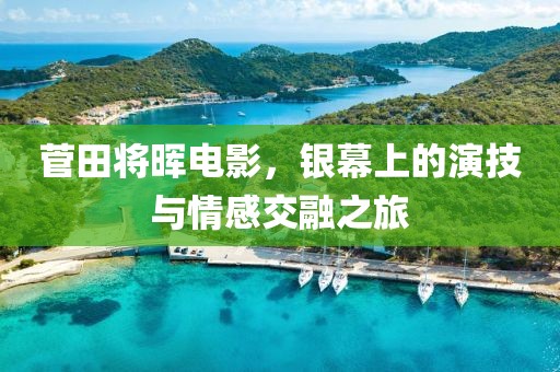 菅田将晖电影，银幕上的演技与情感交融之旅