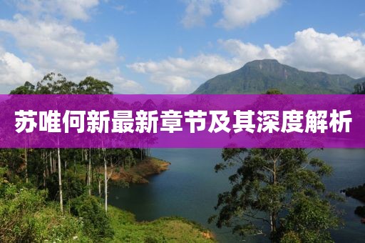苏唯何新最新章节及其深度解析