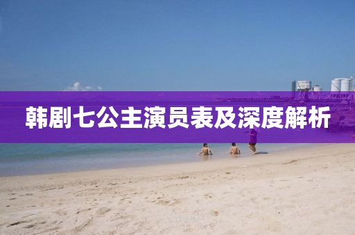 韩剧七公主演员表及深度解析