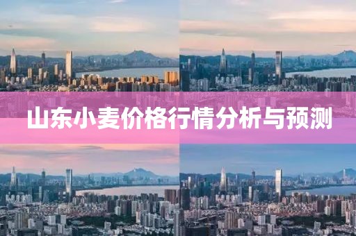 山东小麦价格行情分析与预测