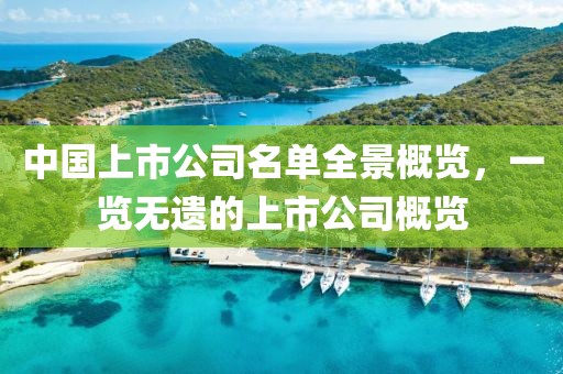 中国上市公司名单全景概览，一览无遗的上市公司概览