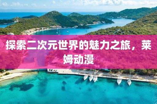 探索二次元世界的魅力之旅，莱姆动漫