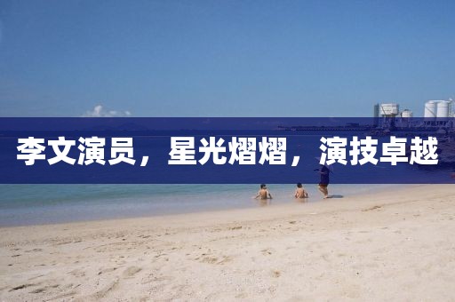 李文演员，星光熠熠，演技卓越