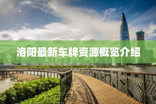洛阳最新车牌资源概览介绍