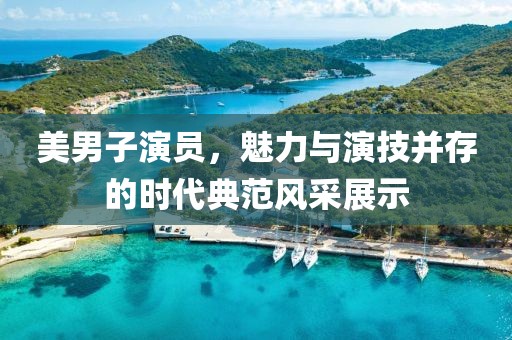 美男子演员，魅力与演技并存的时代典范风采展示
