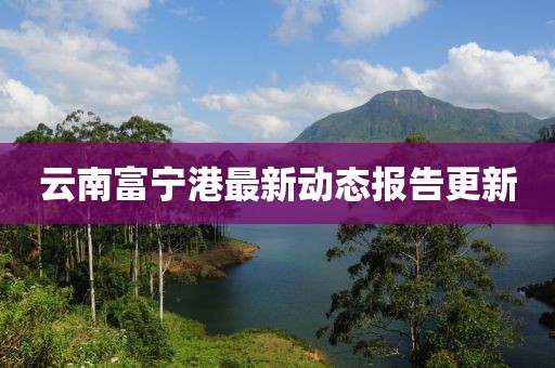 云南富宁港最新动态报告更新