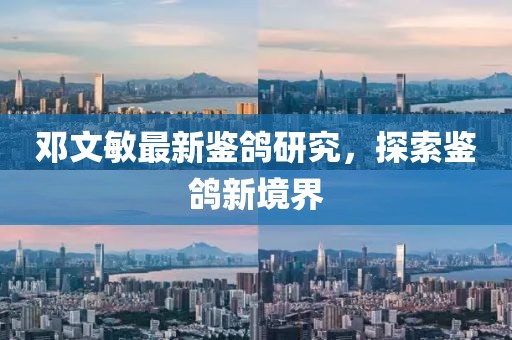 邓文敏最新鉴鸽研究，探索鉴鸽新境界