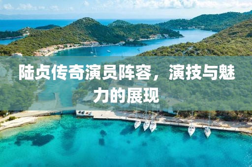 陆贞传奇演员阵容，演技与魅力的展现