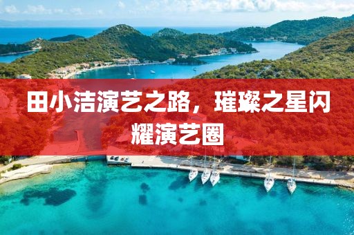 田小洁演艺之路，璀璨之星闪耀演艺圈