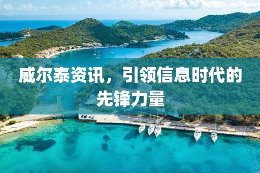 威尔泰资讯，引领信息时代的先锋力量