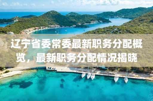 辽宁省委常委最新职务分配概览，最新职务分配情况揭晓