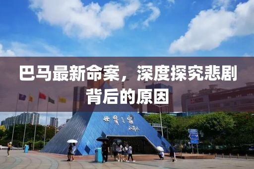 巴马最新命案，深度探究悲剧背后的原因