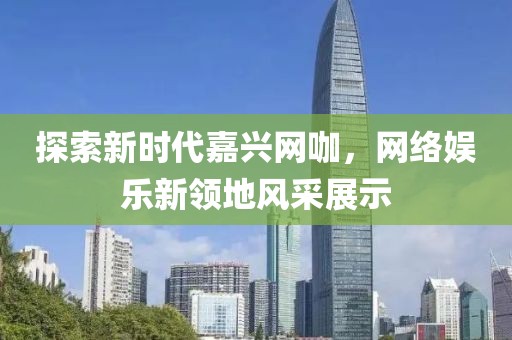 探索新时代嘉兴网咖，网络娱乐新领地风采展示