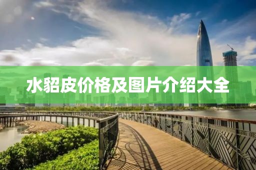 水貂皮价格及图片介绍大全