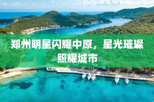 郑州明星闪耀中原，星光璀璨照耀城市