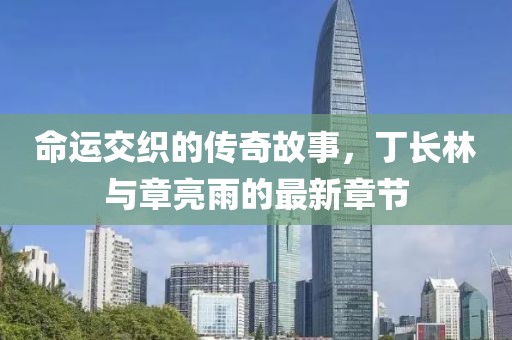 命运交织的传奇故事，丁长林与章亮雨的最新章节