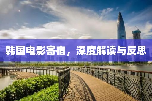 韩国电影寄宿，深度解读与反思