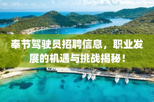 奉节驾驶员招聘信息，职业发展的机遇与挑战揭秘！