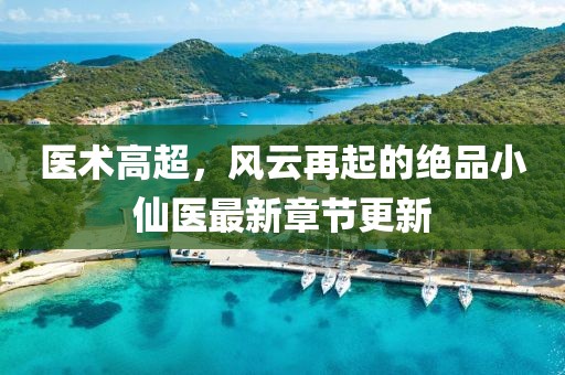 自疯癫 第8页