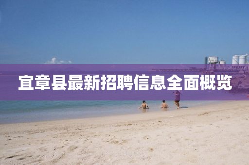 宜章县最新招聘信息全面概览