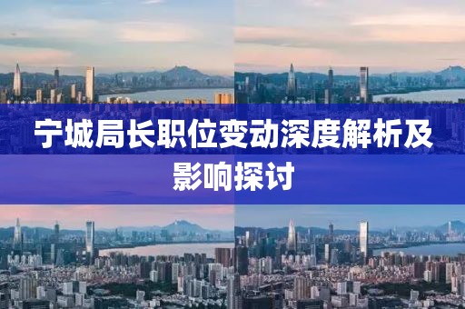 宁城局长职位变动深度解析及影响探讨