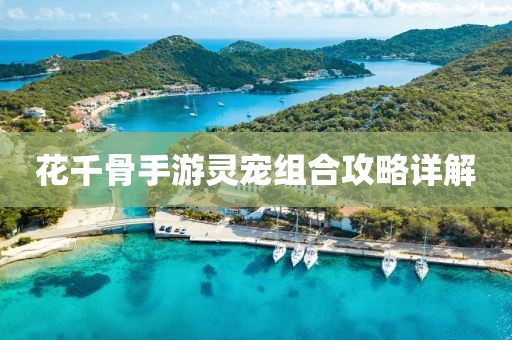 花千骨手游灵宠组合攻略详解