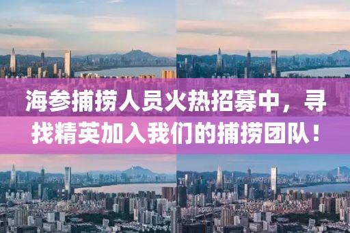 海参捕捞人员火热招募中，寻找精英加入我们的捕捞团队！
