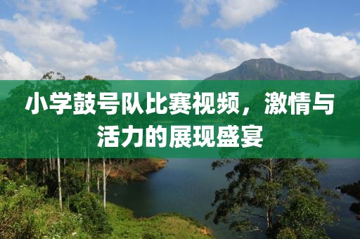 小学鼓号队比赛视频，激情与活力的展现盛宴