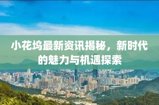 小花坞最新资讯揭秘，新时代的魅力与机遇探索