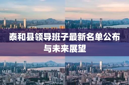 泰和县领导班子最新名单公布与未来展望