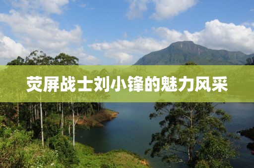 荧屏战士刘小锋的魅力风采