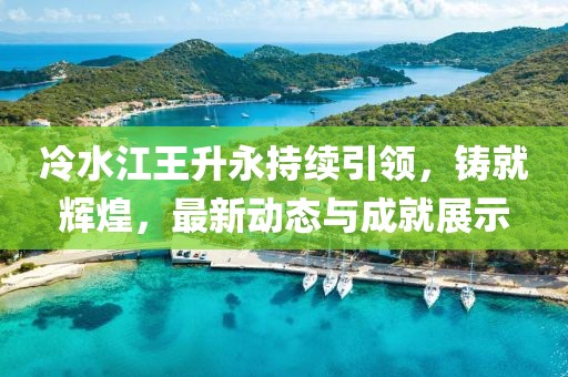 冷水江王升永持续引领，铸就辉煌，最新动态与成就展示