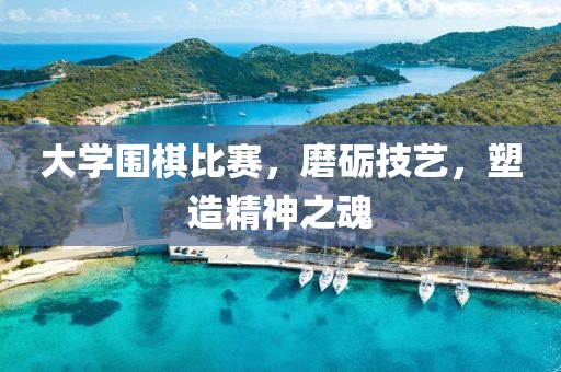 大学围棋比赛，磨砺技艺，塑造精神之魂