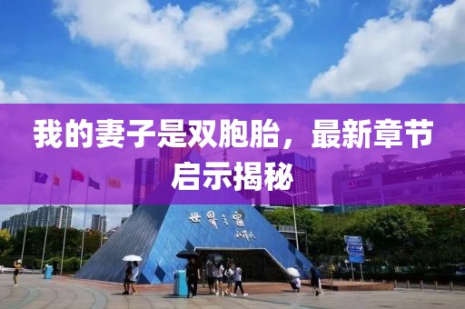 我的妻子是双胞胎，最新章节启示揭秘
