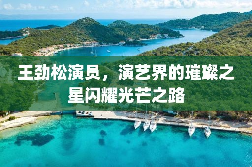王劲松演员，演艺界的璀璨之星闪耀光芒之路