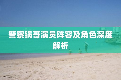 警察锅哥演员阵容及角色深度解析