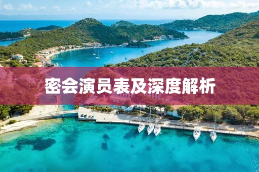 密会演员表及深度解析