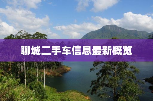 落花满天飞 第6页